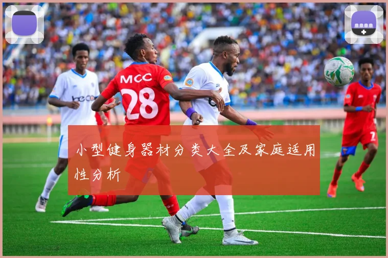小型健身器材分类大全及家庭适用性分析
