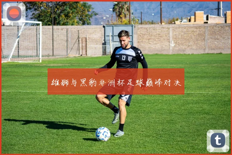 雄狮与黑豹非洲杯足球巅峰对决