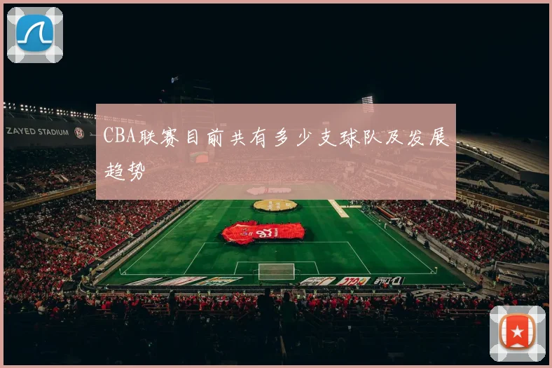 CBA联赛目前共有多少支球队及发展趋势