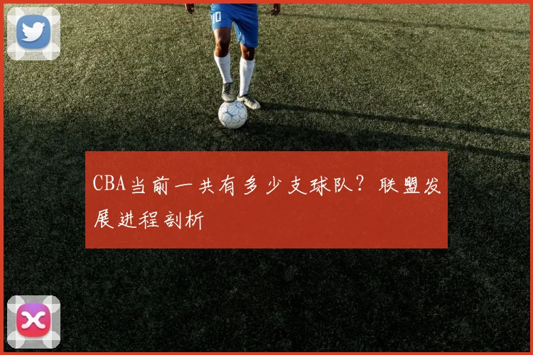CBA当前一共有多少支球队？联盟发展进程剖析