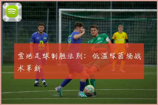 雪地足球制胜法则：低温绿茵场战术革新