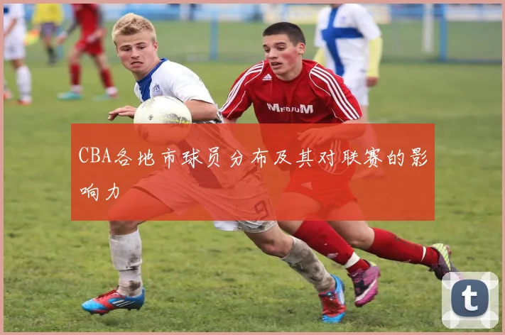 CBA各地市球员分布及其对联赛的影响力